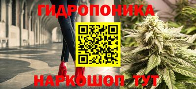 прущие грибы Заволжье