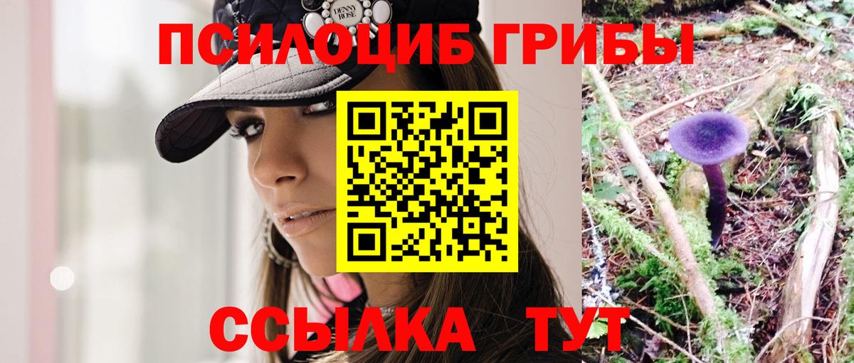 Псилоцибиновые грибы Psilocybe Майский