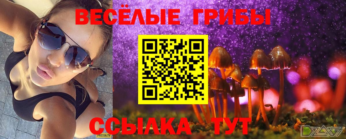 Меф Майский